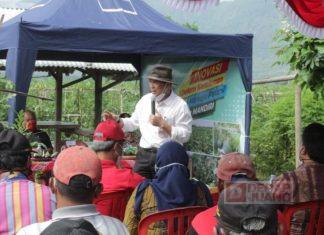 Bupati Wonogiri Dukung Petani Muda Kembangkan Semangka Baby Black Sweet