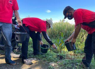 DPC PDI Perjuangan Karanganyar Lakukan Program Penghijauan
