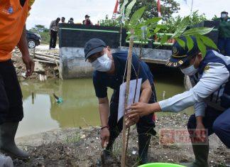 Rawat Ekosistem, Slamet Lakukan Penanaman Pohon