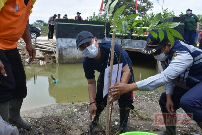 Rawat Ekosistem, Slamet Lakukan Penanaman Pohon