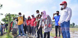 Bupati Sukoharjo Ikuti Gropyokan Tikus Bareng Petani