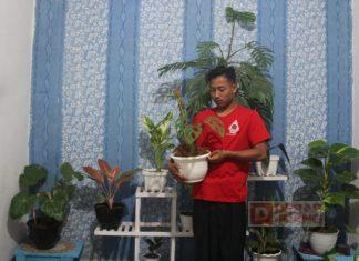 Bangkitkan Kemandirian Ekonomi Melalui Hobi