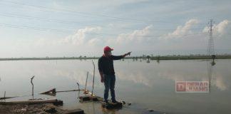Dengar Aspirasi Petani, Masan Tinjau Langsung ke Sawah