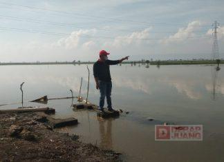 Dengar Aspirasi Petani, Masan Tinjau Langsung ke Sawah
