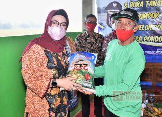 Etik Suryani Hadiri Tasyakuran Panen Padi dan Peresmian IP 400 Gapoktan