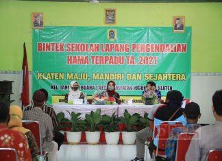 Hj. Sri Mulyani Ajak Anak Muda Tidak Gengsi dengan Profesi Petani