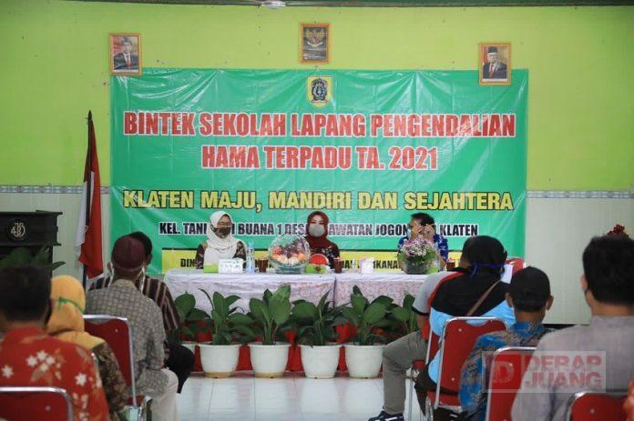 Hj. Sri Mulyani Ajak Anak Muda Tidak Gengsi dengan Profesi Petani