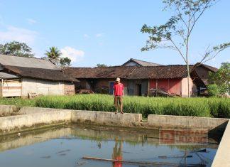 Fredy Bangun Kemandirian Ekonomi Melalui Budidaya Ikan Patin