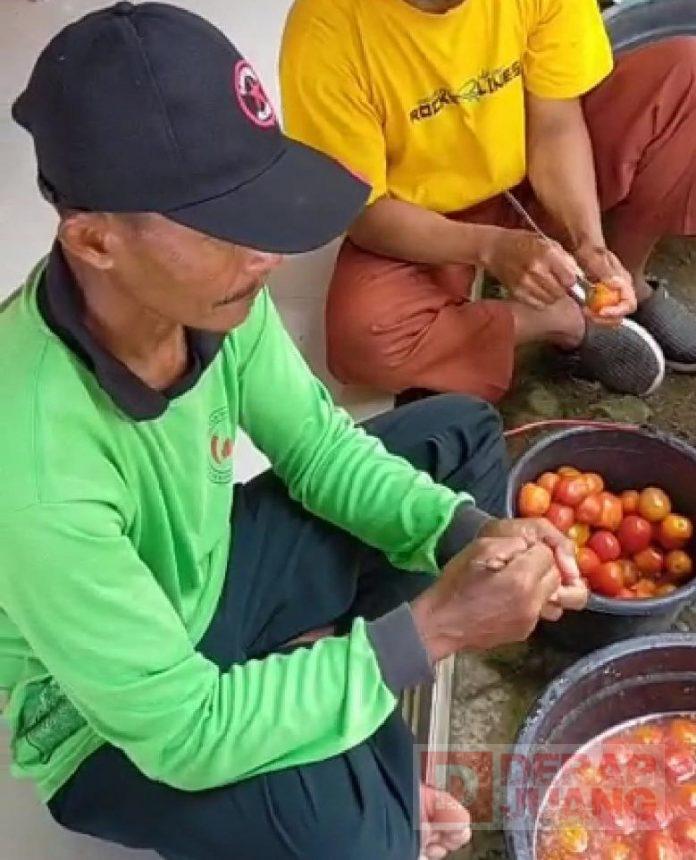 Kreativitas Tanpa Batas, Kader PDI Perjuangan Brebes Pelopori Torakor