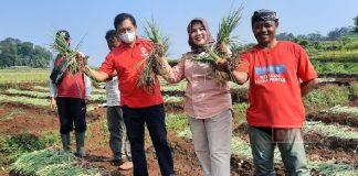 Sri Ruwiyati: Langkah Awal Wujudkan Kedaulatan Pangan