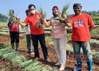 Sri Ruwiyati: Langkah Awal Wujudkan Kedaulatan Pangan