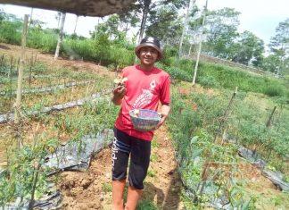 Wujud Kemandirian Ekonomi Kader Komunitas Juang Kabupaten Boyolali