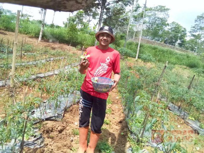 Wujud Kemandirian Ekonomi Kader Komunitas Juang Kabupaten Boyolali