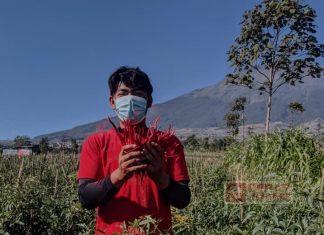 Rizal Agustiyan Ungkap Kunci Sukses dalam Bertani