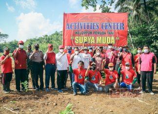 Besama Kelompok Pemuda Tani, Bupati Tiwi Tanam 2000 Bibit Pohon Jambu Kristal Merah