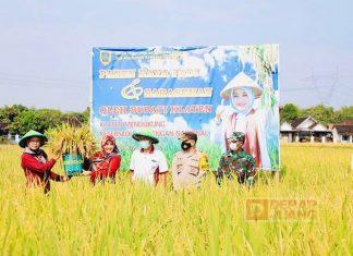 Bupati Klaten: Klaten Siap Menjadi Penyangga Pangan Nasional