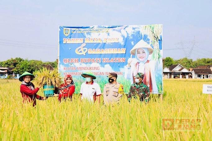 Bupati Klaten Klaten Siap Menjadi Penyangga Pangan Nasional