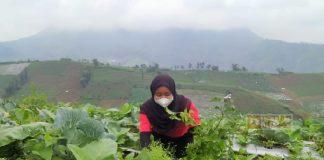 CKJ Esti: Menjadi Petani itu Tidak Perlu Gengsi