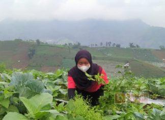 CKJ Esti: Menjadi Petani itu Tidak Perlu Gengsi