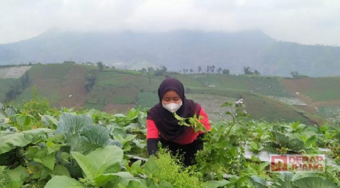 CKJ Esti Menjadi Petani itu Tidak Perlu Gengsi