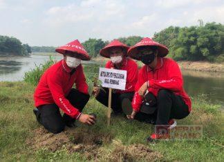 Dewan Pimpinan Cabang Rembang Ikuti Tanam 15 Ribu Pohon