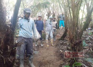 Gotongroyong PAC PDI Perjuangan Karangkobar Bersama Masyarakat Bangun Saluran Irigasi