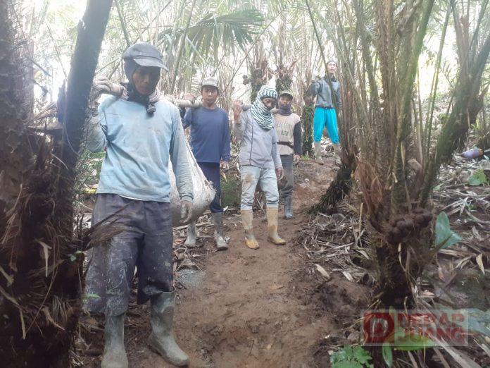 Gotongroyong PAC PDI Perjuangan Karangkobar Bersama Masyarakat Bangun Saluran Irigasi