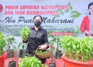 Hadir di Panti Marhaen, Mbak Puan Serukan Urban Farming