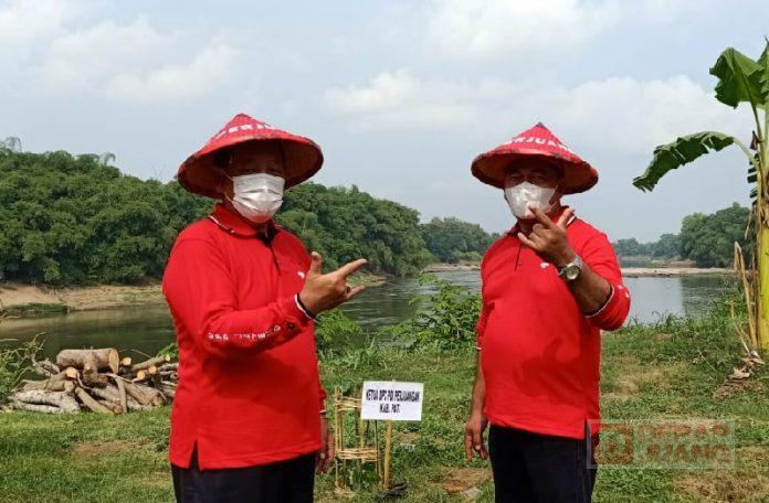 Kader Banteng Pati Ikut Serta Penanaman 15 Ribu Pohon