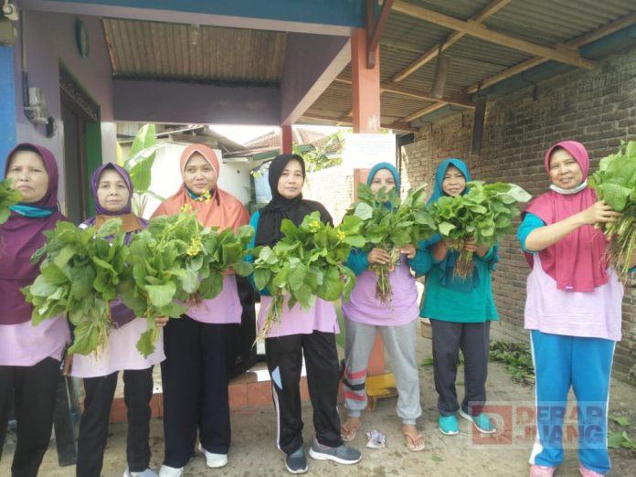 Kelompok Wanita Tani Bawang Ceria Berdikari Tingkatkan Inovasi Pertanian