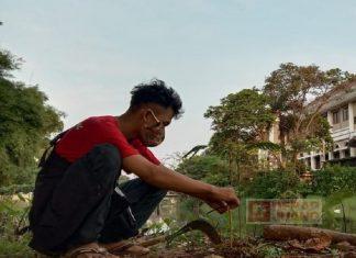 Komunitas Juang Kota Pekalongan Lakukan Penanaman Pohon di Bulan Ramadhan