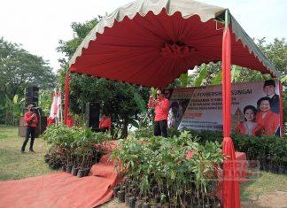 Manifestasi Politik Hijau, Kader Banteng Jawa Tengah Tanam 15 Ribu Pohon
