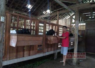 Sugiarto: Pemuda Harus Berkontribusi Dalam Pemberdayaan Ekonomi Masyarakat Desa