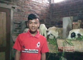 Amalkan 3K, CKJ Adit Berdikari dengan Beternak Kambing