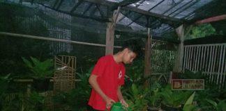 Amalkan Panca Setya, Ikhtiar CKJ Temanggung dalam Menjaga Lingkungan