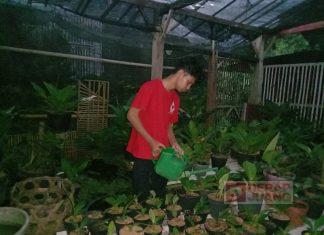 Amalkan Panca Setya, Ikhtiar CKJ Temanggung dalam Menjaga Lingkungan