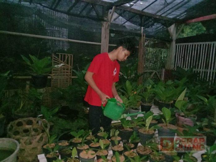 Amalkan Panca Setya, Ikhtiar CKJ Temanggung dalam Menjaga Lingkungan (2)