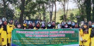 Endang Suprapti: Sejatinya Tanaman Obat Keluaraga Mujarab Mengobati Berbagai Penyakit