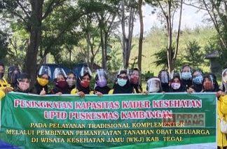 Endang Suprapti: Sejatinya Tanaman Obat Keluaraga Mujarab Mengobati Berbagai Penyakit