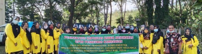 Endang Suprapti Sejatinya Tanaman Obat Keluaraga Mujarab Mengobati Berbagai Penyakit