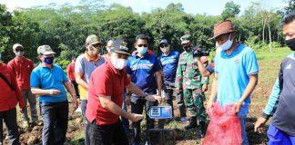 Panen Raya Porang, Ngesti Siapkan Marketing Modern