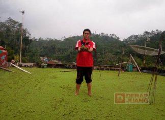 Tingkatkan Kesejahteraan Masyarakat, Ketua PAC PDI Perjuangan Pagentan Kembangkan Azolla
