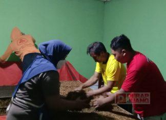 Aktualisasi Nilai Sapta Jiwa Komunitas Juang Melalui Panen Raya Tembakau