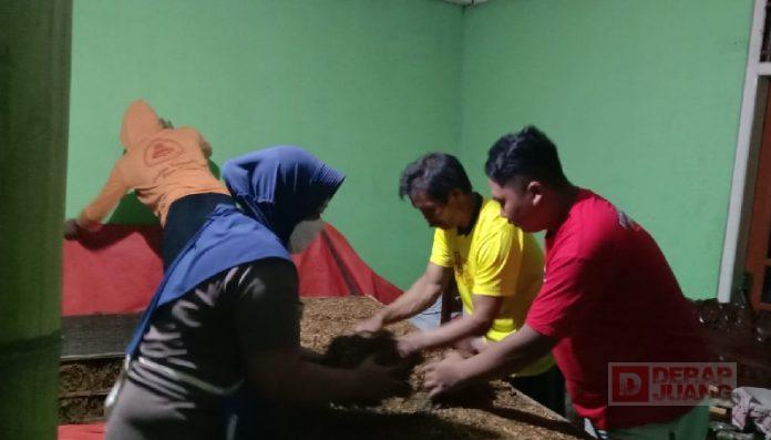 Aktualisasi Nilai Sapta Jiwa Komunitas Juang Melalui Panen Raya Tembakau