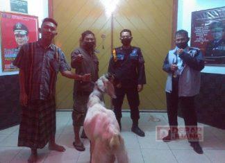 Berkah Idul Adha, Ketua PAC Bantarbolang Berkurban di Rutan Pemalang