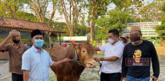 Berkurban Ala DPC Grobogan, Tidak Ada Kerumanan, Kita Antar