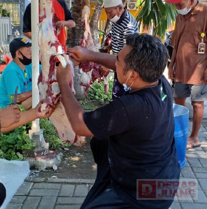 Bersama Warga, Edy Suripno Gotong Royong Potong Hewan Kurban