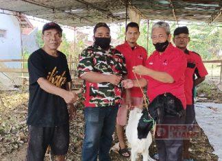 DPC PDI Perjuangan Kota Pekalongan Salurkan Hewan Kurban ke Sejumlah Tempat