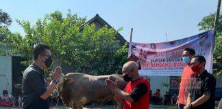 HR Bambang Irawan Serahkan Sapi Kurban Kepada Masyarakat Kalikabong