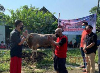 HR Bambang Irawan Serahkan Sapi Kurban Kepada Masyarakat Kalikabong